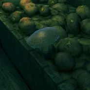 Shared survival